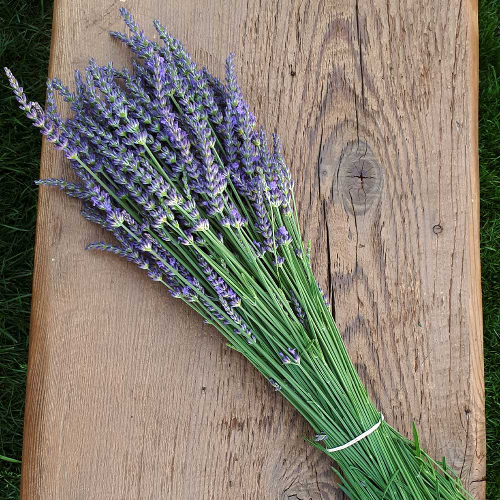 Apricot Lavender Jam