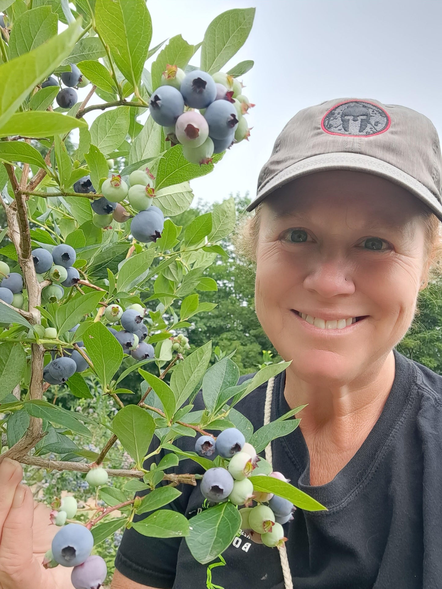 Spiced Blueberry Jam
